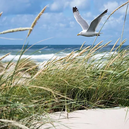 Διαμέρισμα In Het Zoute Near The *